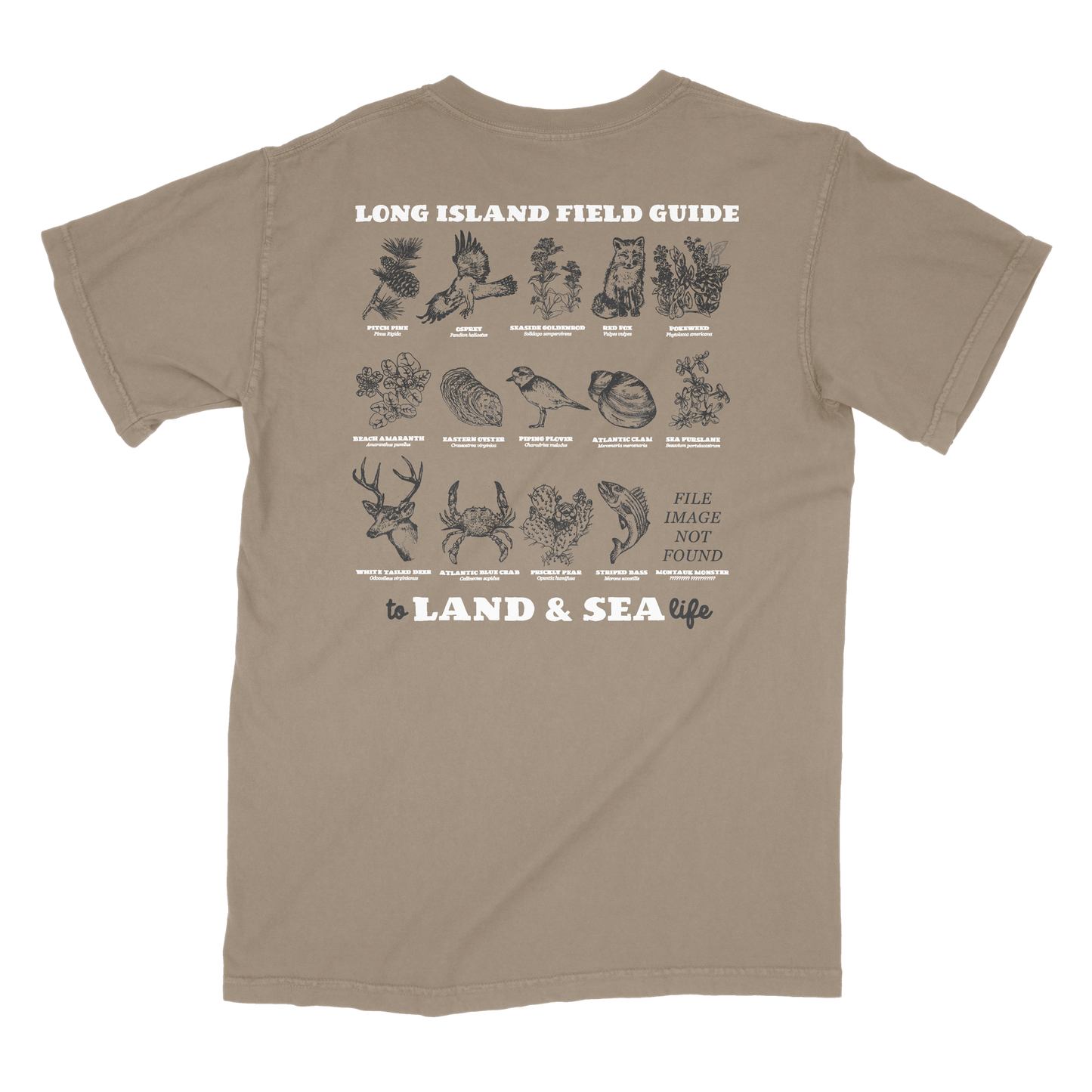 Field Guide