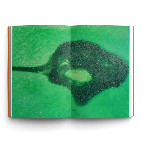 BEACH RAT 01