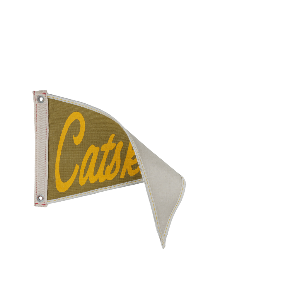 Catskill Mountains Pennant
