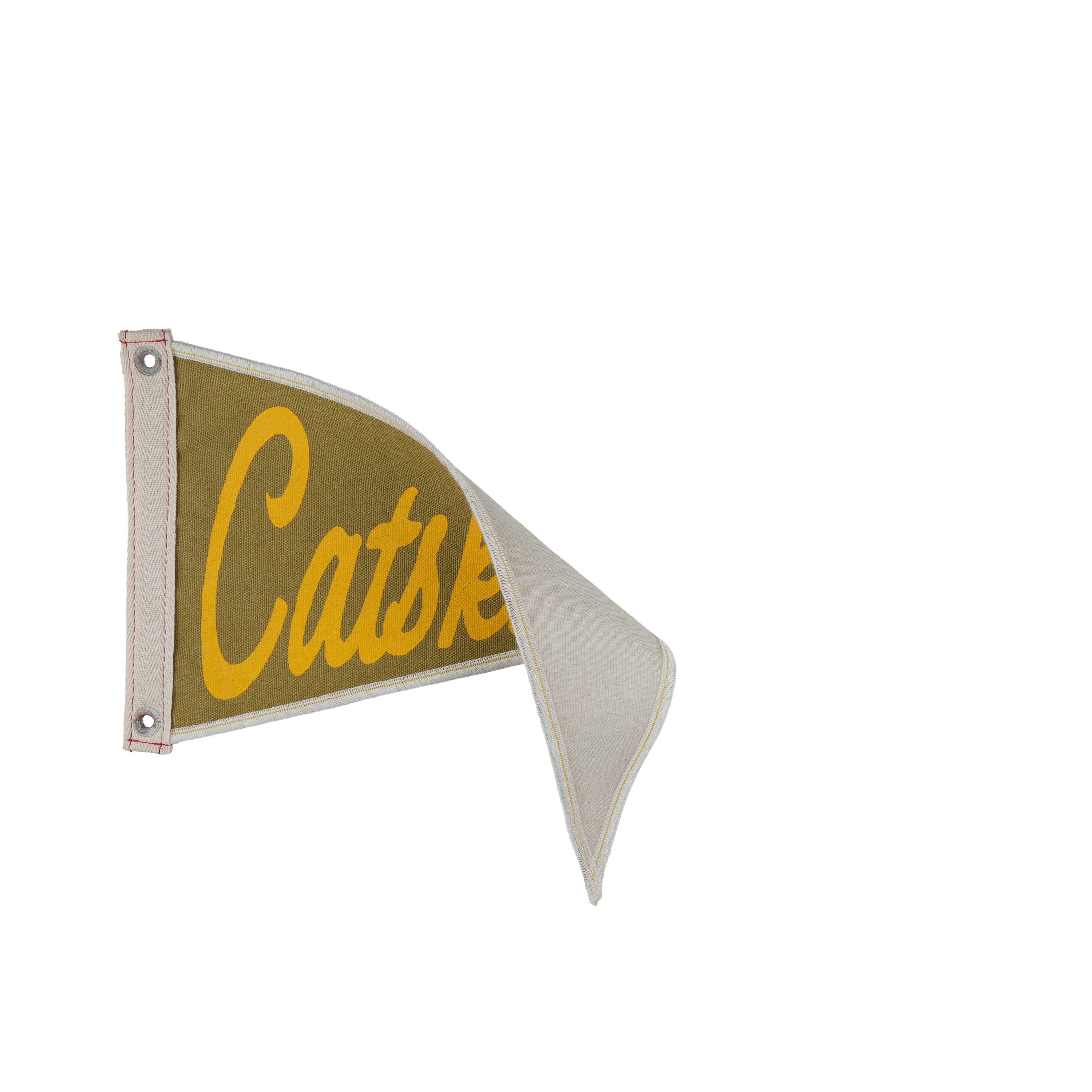 Catskill Mountains Pennant