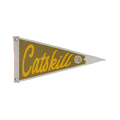 Catskill Mountains Pennant