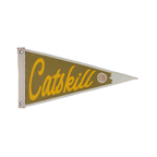 Catskill Mountains Pennant