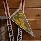 Catskill Mountains Pennant