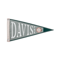 Davis Park Pennant