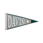 Davis Park Pennant