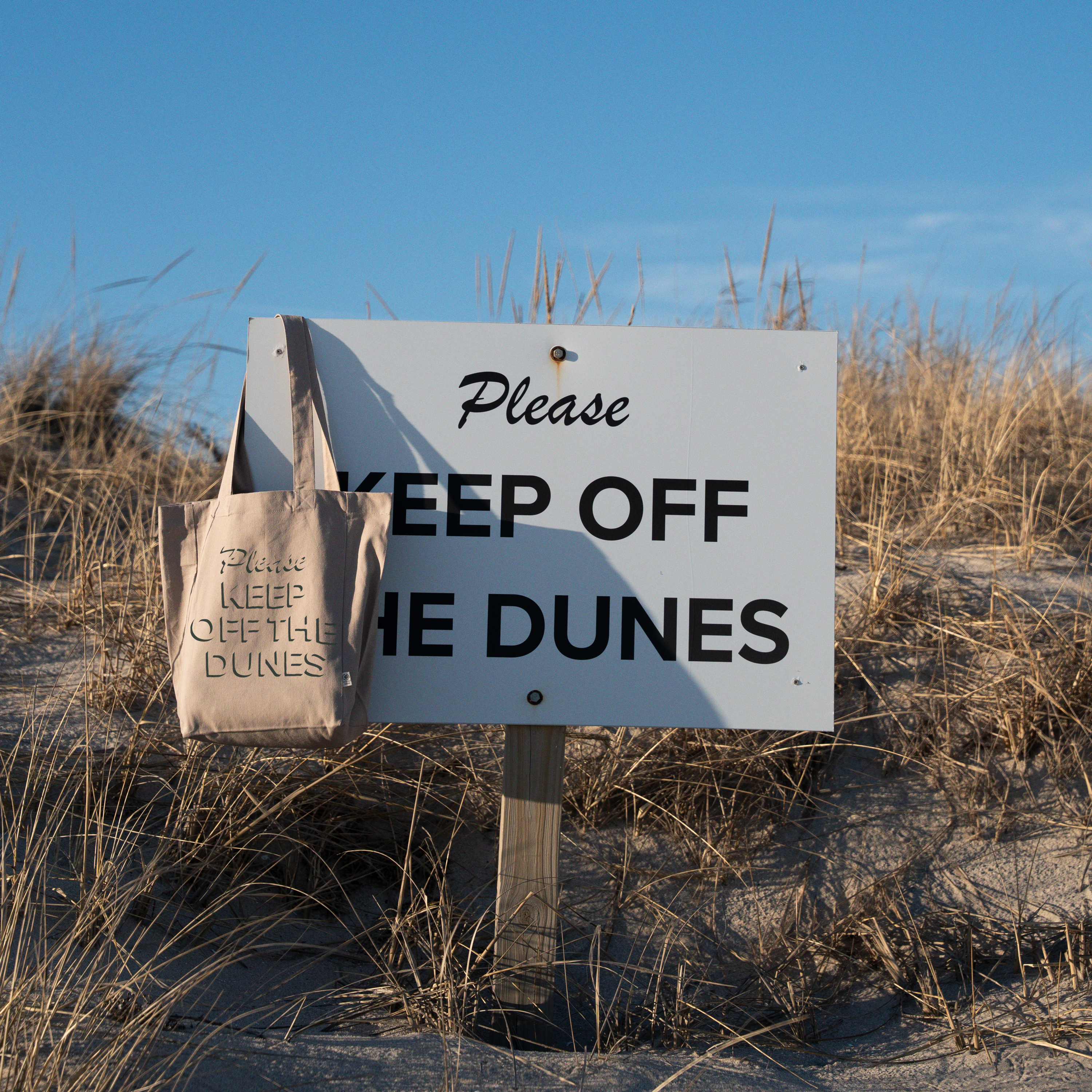 Dunes Tote Bag